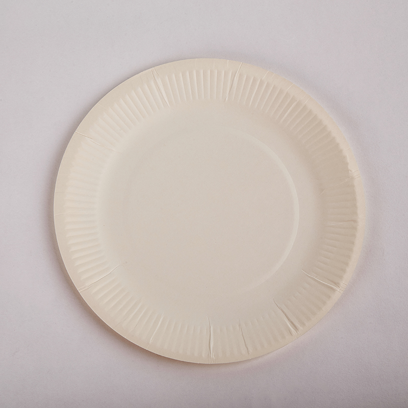 Disposable Paper Plate