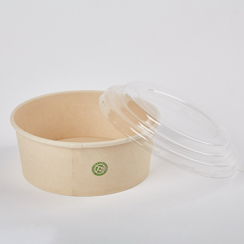 Disposable Takeaway Paper Salad Bowl with Lid